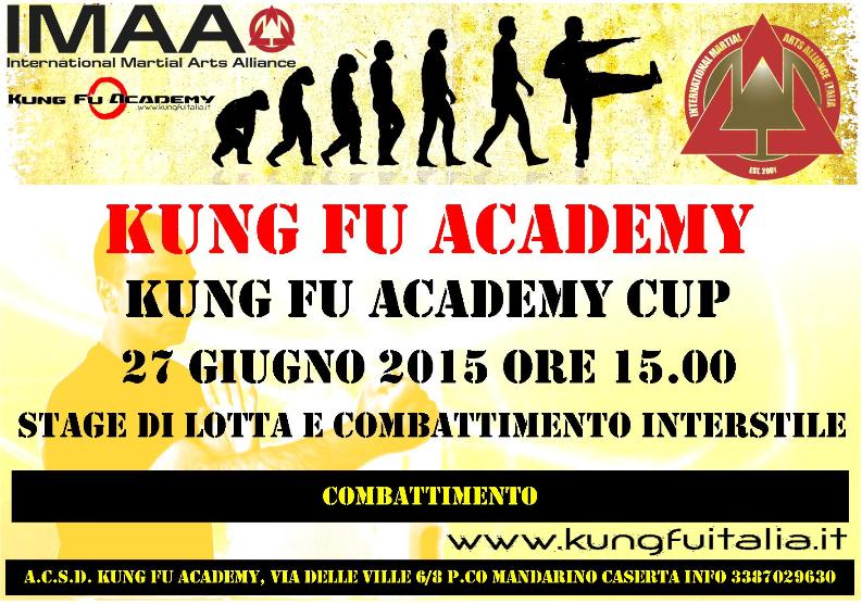Campania Wing Tjun Chun Tsun Sifu Salvatore Mezzone IMAA Kung Fu Academy difesa personale salute chi kung Italia Campania Caserta Puglia tai chi quan taijiquan chi www.kungfuitalia.it mma